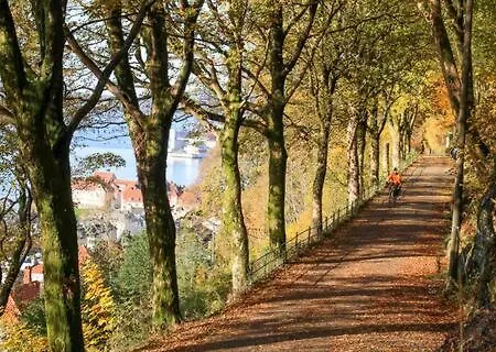 Dinbnb Private Terrace L 700 M To Bryggen L Modern * Bergen